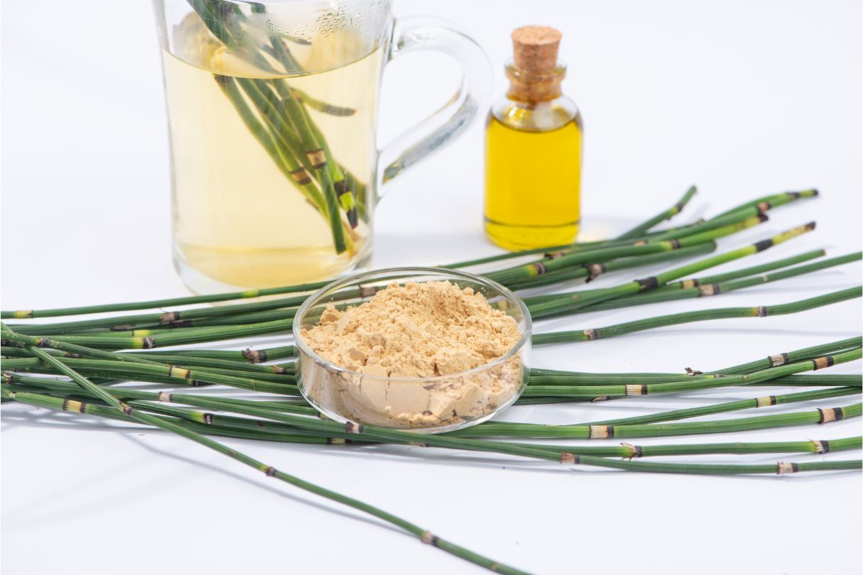 5 Benefits of Horsetail Extract – Skin, Hair, & More